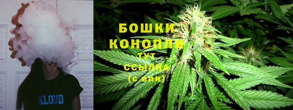 стафф Козловка