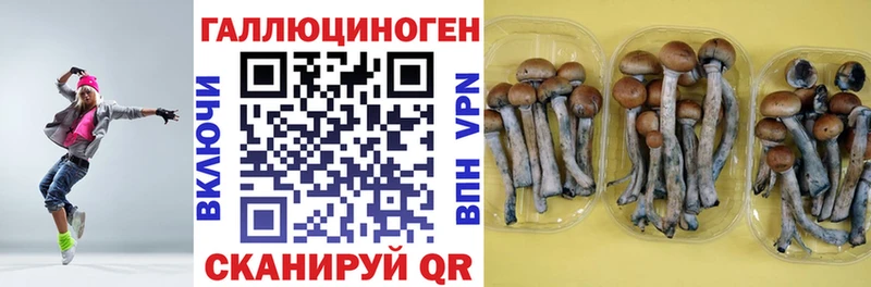 Купить закладки  Покачи  Псилоцибиновые грибы Magic Shrooms 